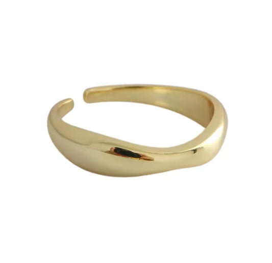 Anillo Curbatura